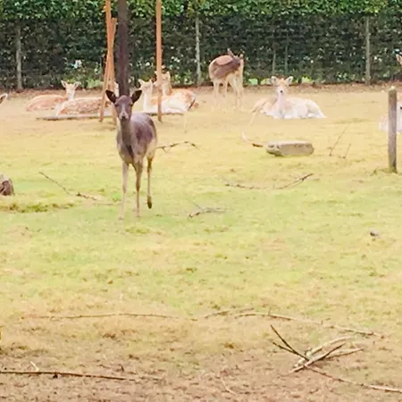'het Oude Nest' Kessel (Limburg)