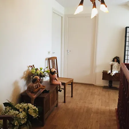 住宿加早餐酒店 旧巢住宿加早餐旅馆 3*