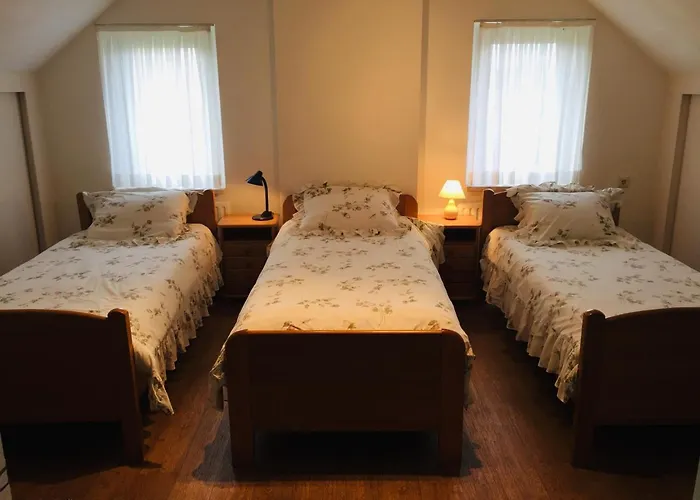 فندق مبيت وإفطار 'het Oude Nest'